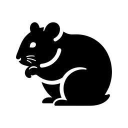 Hamstrar Etiopien